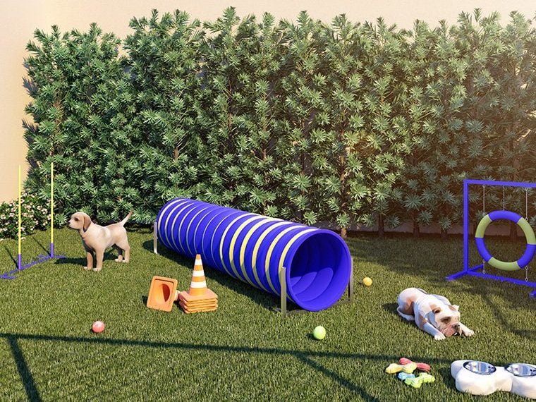 NeoConx Rio Bonito Espaço Pet